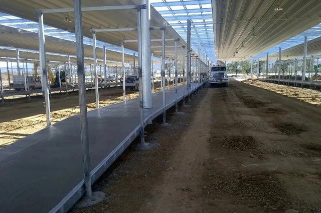 Tamworth Regional Livestock Exchange Centre